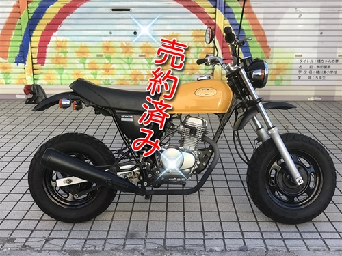 HONDA エイプ50  ape50 車体　AC16 初心者におすすめ！